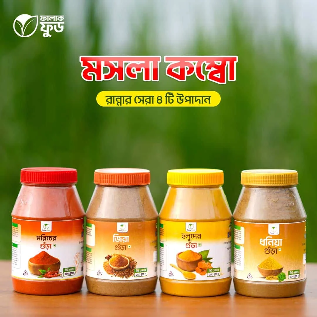 gdsfghsfdgxfgsr.webp মসলা কম্বো – (ফ্যামিলি প্যাক) - Image 1